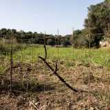 Passeggiamo tra i campi, ma a un certo punto un�altra recinzione che delimita un enorme latifondo ci sbarra la strada. Non ci resta quindi che tornare indietro fino a Villa Frammarino per riprendere l�auto e andare a esplorare Lama Balice in altri punti